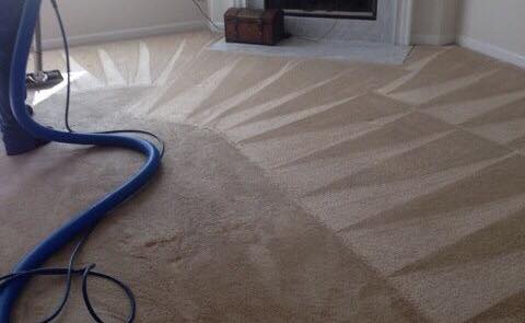 Carpet cleaning In Memphis TN