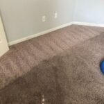 Carpet Cleaning In Bartlett TN 08/25/2021