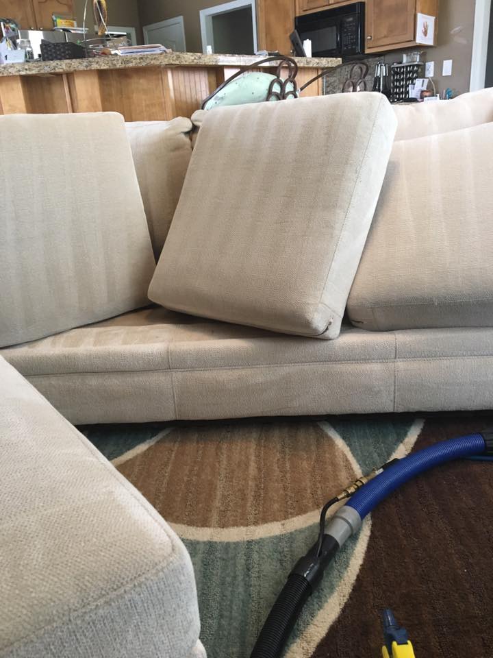 Deep upholstery cleaning for sofas in Tipton County TN