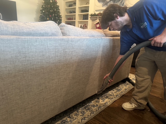 Professional sofa cleaning in Millington TN and Tipton County